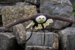 Adlerwarte Berlebeck