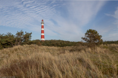 Ameland 2020