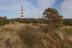 Ameland 2020