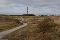 Ameland 2020