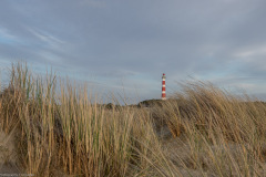 Ameland 2020