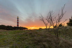 Ameland 2020