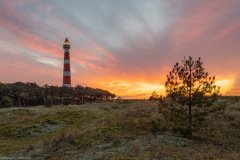 Ameland 2020