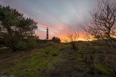 Ameland 2020