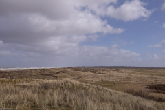 Ameland 2020