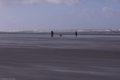 Ameland 2020