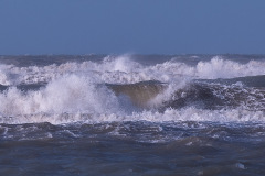Ameland 2020