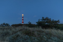Ameland 2020