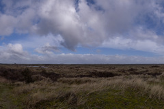 HR5_9012-Pano.jpg