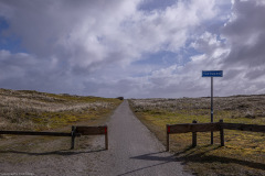 HR5_9014.jpg