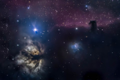 Pferdekopfnebel / horsehead nebula