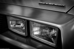 _R7_5690.jpg