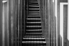 HR5_3842.jpg