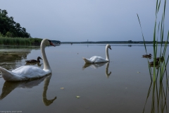 HR5_4231.jpg