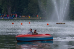 Drachenbootrennen Maschsee 2015 Drachenbootrennen Maschsee 2015