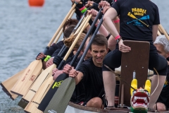 Drachenbootrennen Maschsee 2015 Drachenbootrennen Maschsee 2015