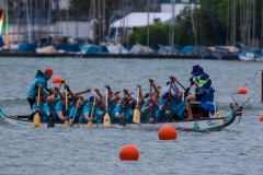 Drachenbootrennen Maschsee 2015 Drachenbootrennen Maschsee 2015