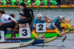 Drachenbootrennen Maschsee 2015 Drachenbootrennen Maschsee 2015