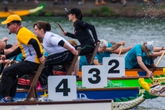 Drachenbootrennen Maschsee 2015 Drachenbootrennen Maschsee 2015