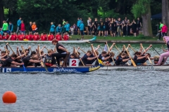 Drachenbootrennen Maschsee 2015 Drachenbootrennen Maschsee 2015