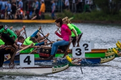 Drachenbootrennen Maschsee 2015