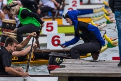 Drachenbootrennen Maschsee 2015 Drachenbootrennen Maschsee 2015
