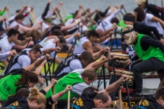 Drachenbootrennen Maschsee 2015 Drachenbootrennen Maschsee 2015