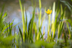 Zusammen und doch allein / together and yet alone