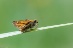 HR7_4750.jpg HR7_4750.jpg