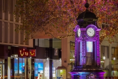 Hannover leuchtet 2018 Hannover leuchtet 2018