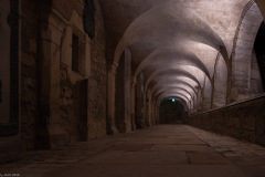 Hildesheim EVI Lichtungen 2020