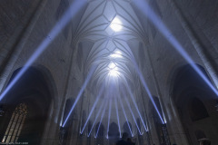 Hildesheim EVI Lichtungen 2020