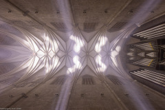 Hildesheim EVI Lichtungen 2020
