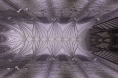 Hildesheim EVI Lichtungen 2020