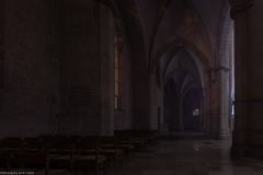 Hildesheim EVI Lichtungen 2020