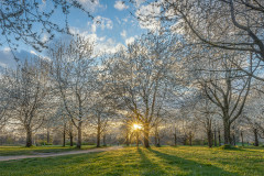 Lichtblick / tiny ray of hope