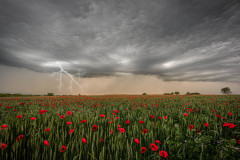 Sommergewitter / summer thunderstorm