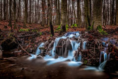 Ein Moment im Wald / a moment in the forest