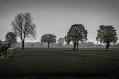 Landschaft bei trübem Wetter