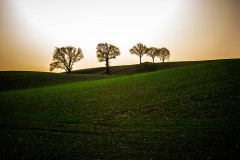 Herbststimmung / autumn atmosphere