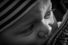 (Ein)blick