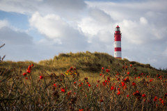 Leuchtturm Amrum