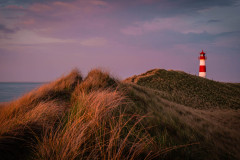 Sommerabend am Meer / summertime at sea