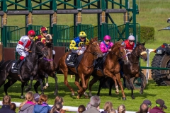Pferderennen Neue Bult 2015