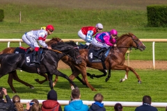 Pferderennen Neue Bult 2015