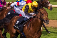 Pferderennen Neue Bult 2015