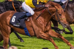 Pferderennen Neue Bult 2015