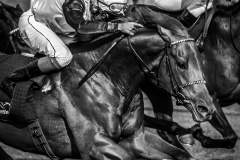 Pferderennen Neue Bult 2015 Pferderennen Neue Bult 2015