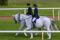 Pferderennen Neue Bult 2015