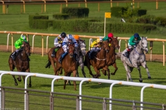 Pferderennen Neue Bult 2015 Pferderennen Neue Bult 2015
